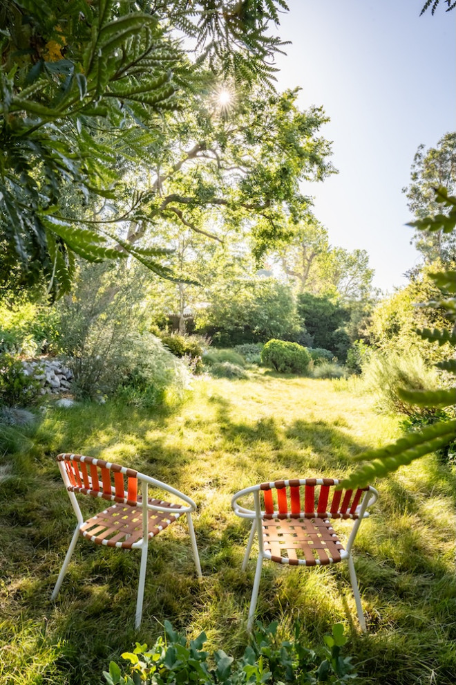 8 Landscape Pros' Top Tips for Adding Shade to Your Yard