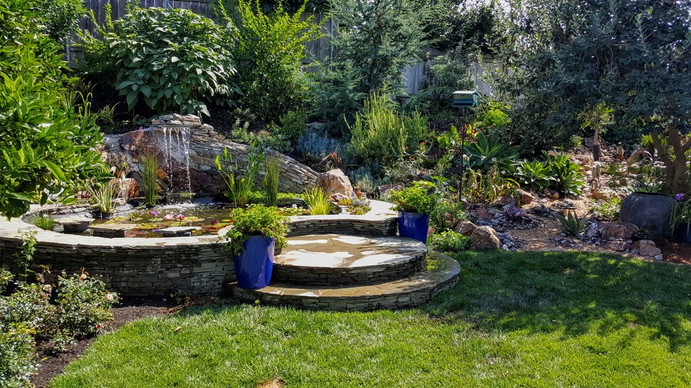 This is an example of an eclectic garden in San Diego.