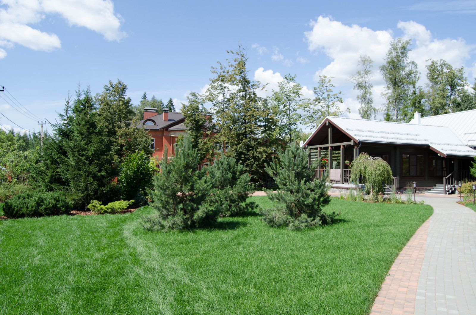 Укладка газона