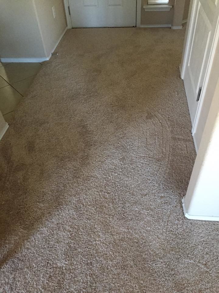 Large traditional hallway in Dallas with beige walls and carpet.