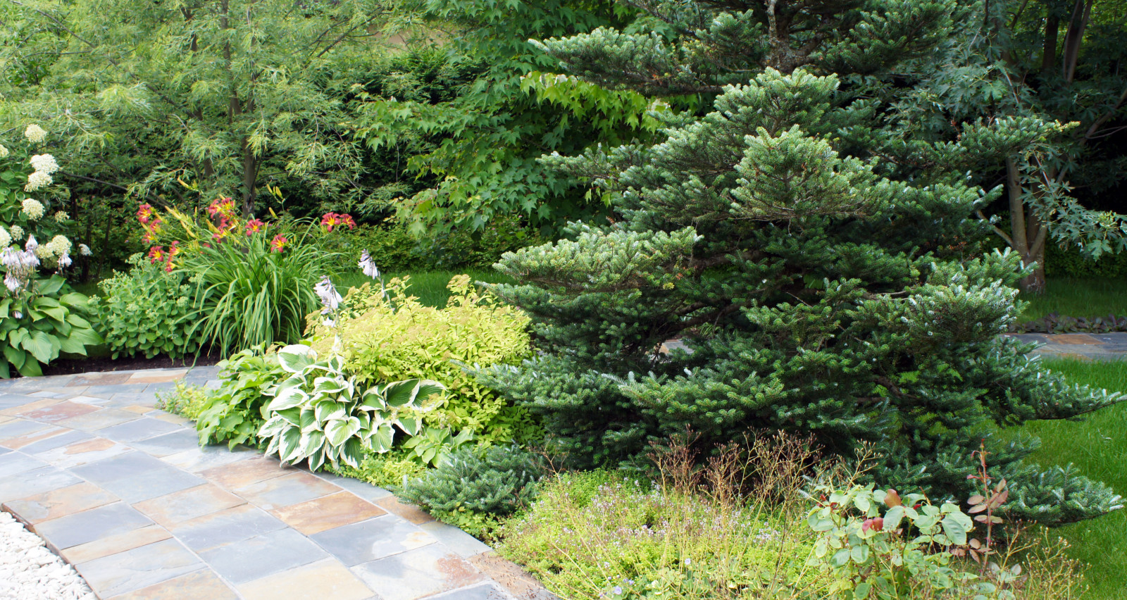 Участок 30 соток