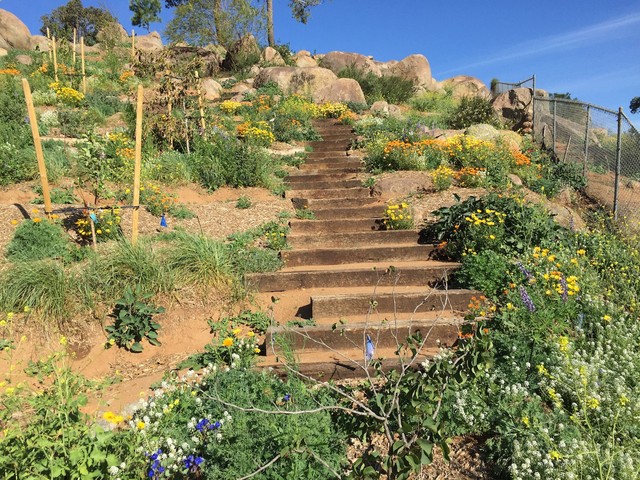 Casa Aguila Ramona Food Forest modern-garten