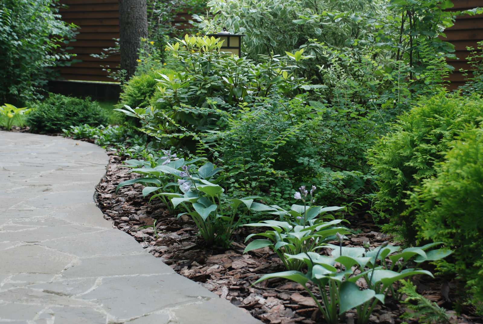 Лесной участок в КП "РИИТА"