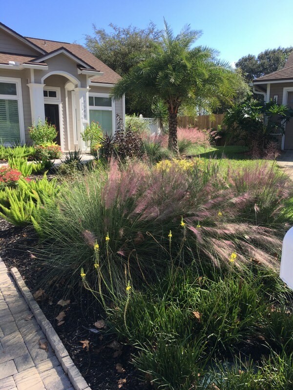 Jacksonville area gardens Landscape Jacksonville by KM Mease