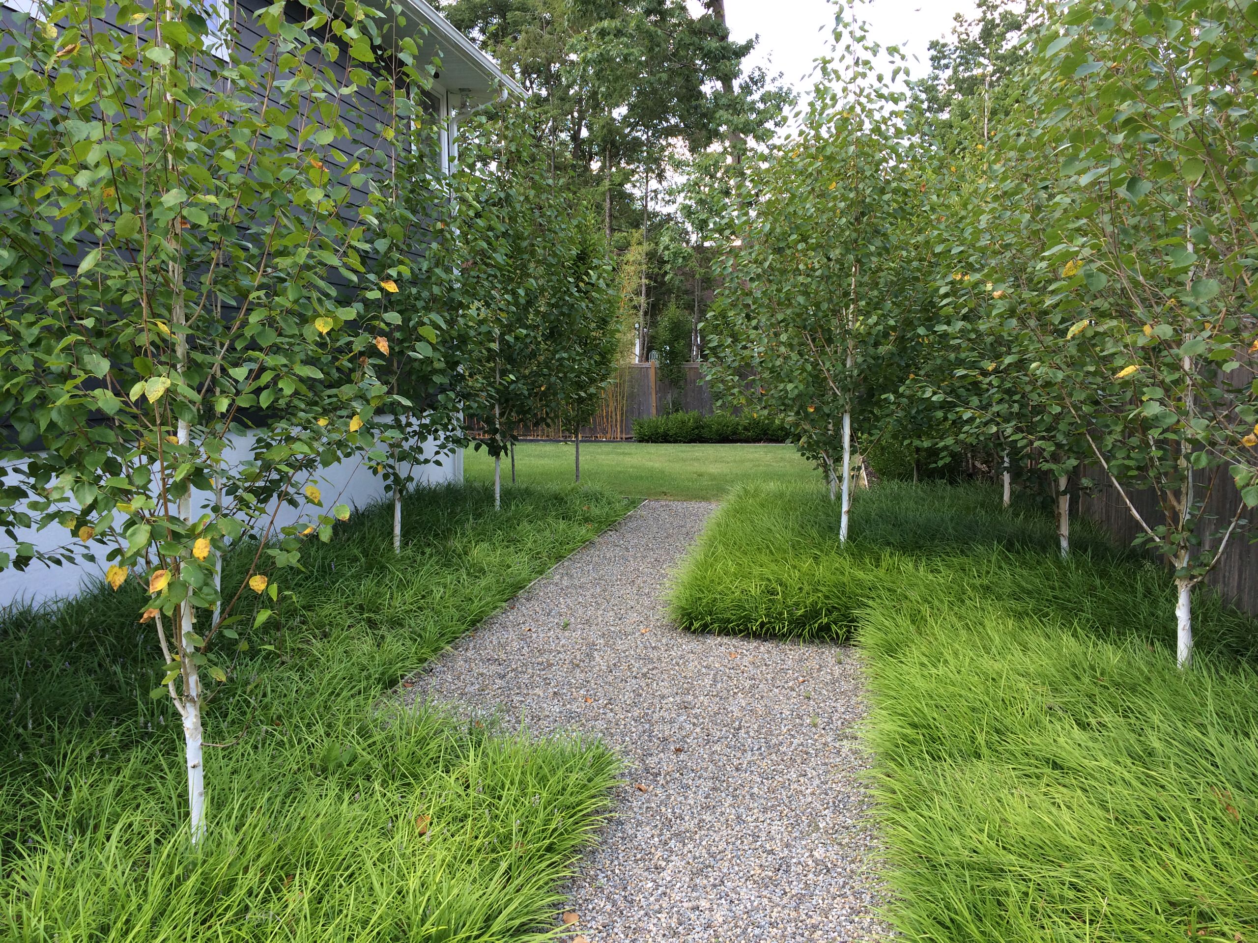 Tenafly Modern Perennial Garden