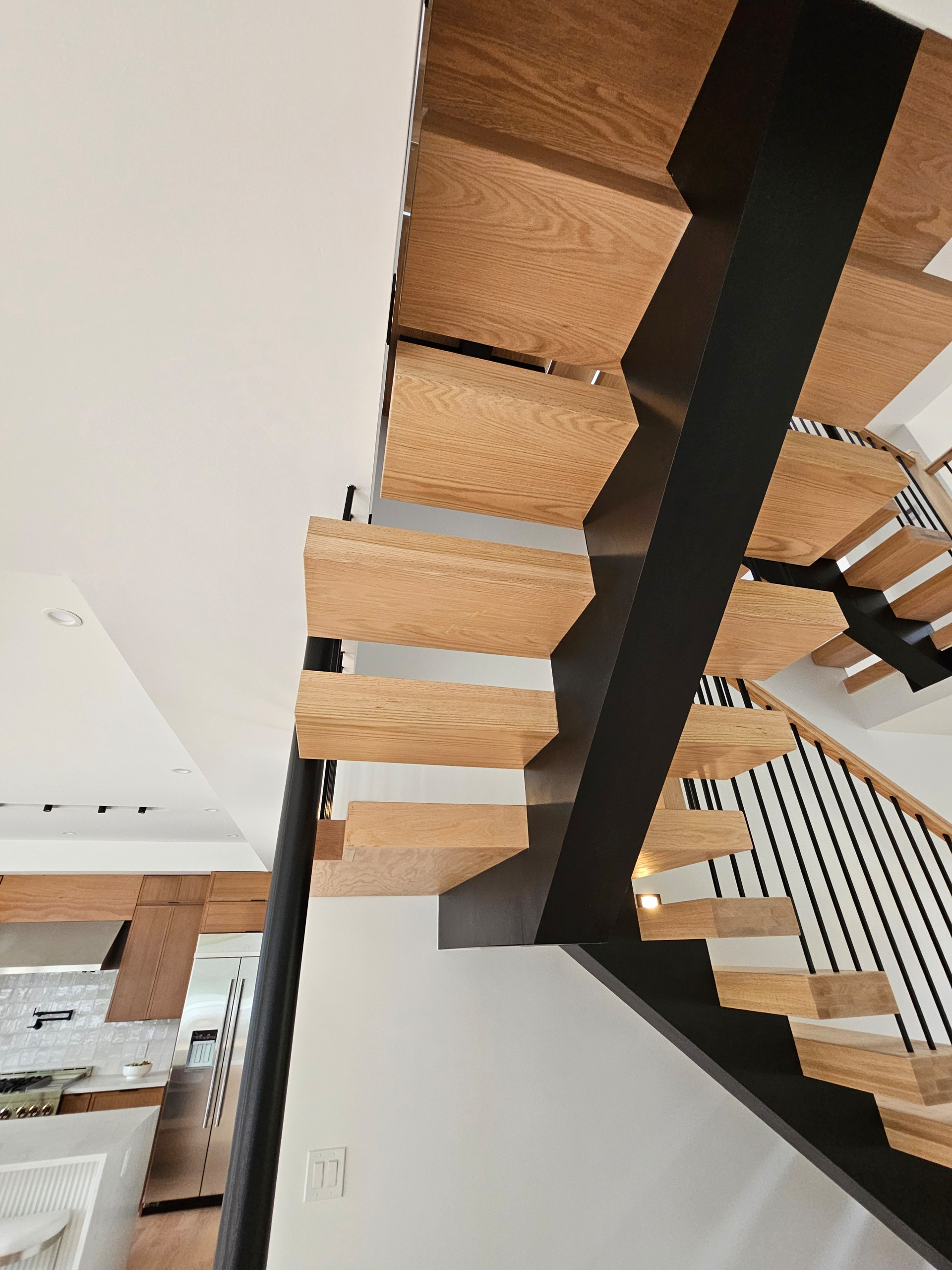 124_Contemporary Luxury White Oak and Steel Design, Vienna, VA 22180