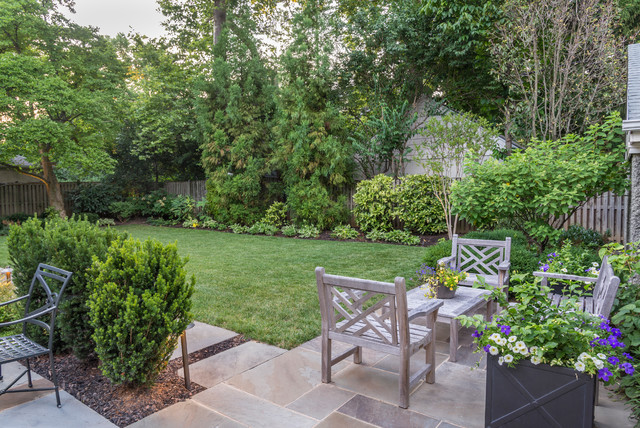 Back yard view contemporary-traedgaard