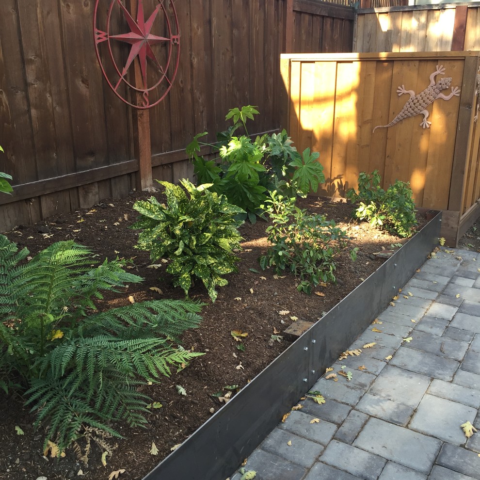 Contemporary, Low Maintenance and drought tolerant Front Yard in Walnut Creek
