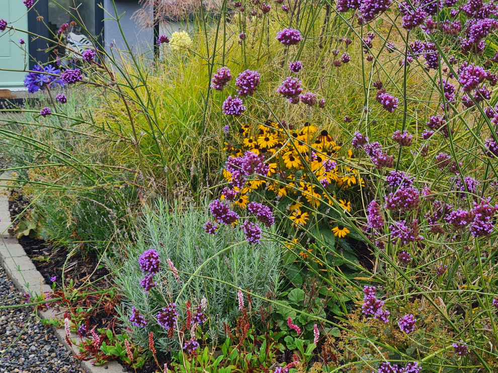 Photo of a shabby-chic style garden in Dublin.