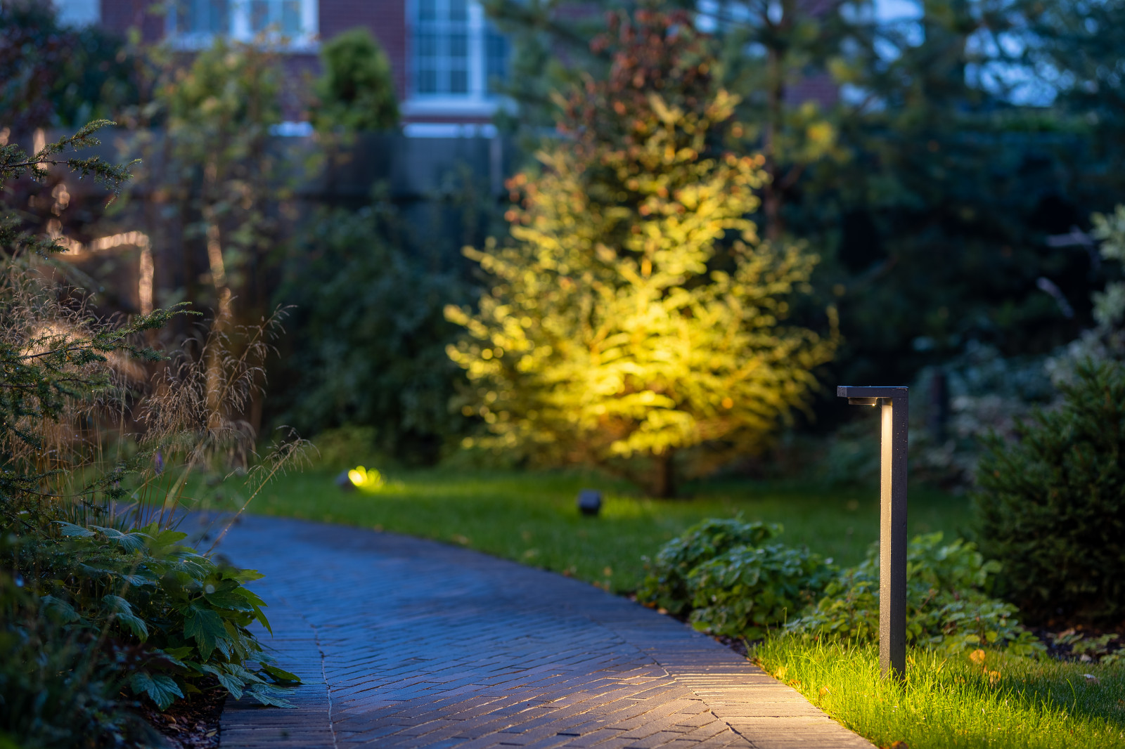 Английская история