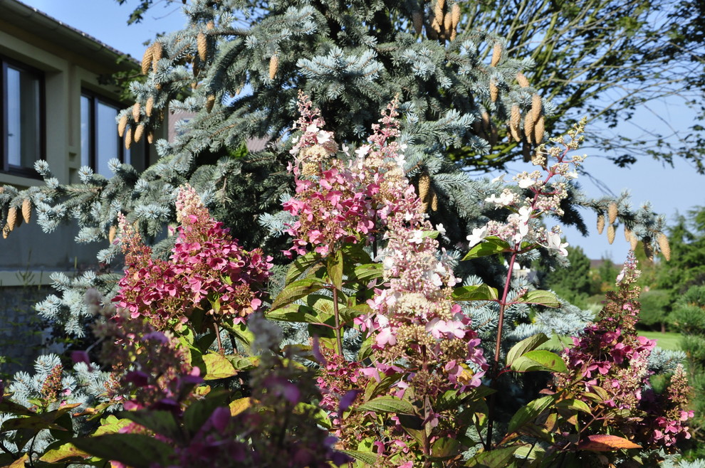 кп "Бенелюкс" - Уход за садом - 100% качество