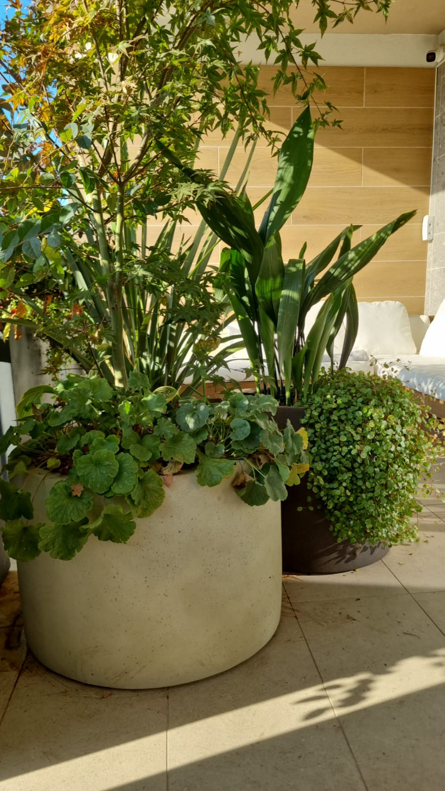 Realizzazione Una stanza all'aperto