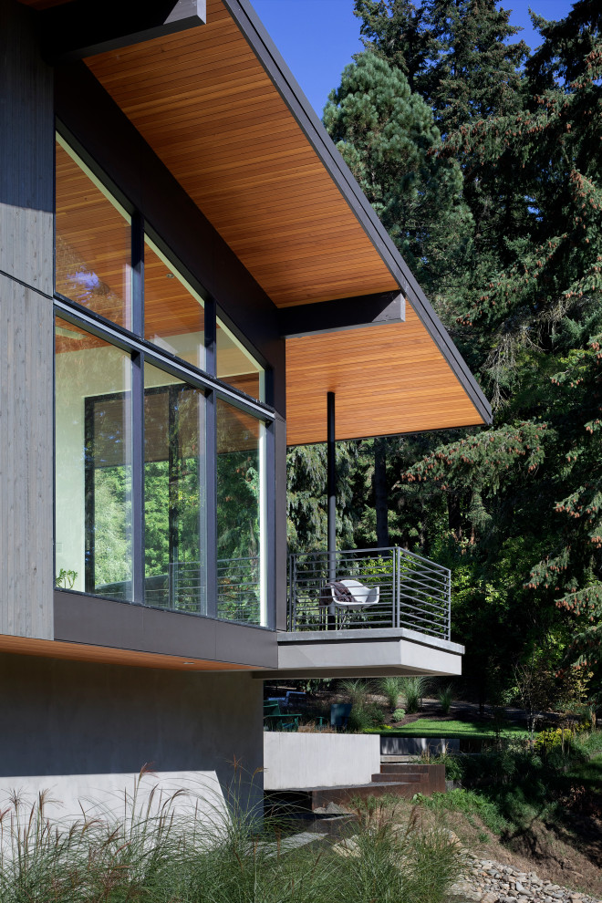 Aménagement d'un porche d'entrée de maison latéral rétro de taille moyenne avec une dalle de béton, une extension de toiture et un garde-corps en métal.