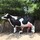 chris_mccarthy57