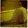 amir_michael1706098