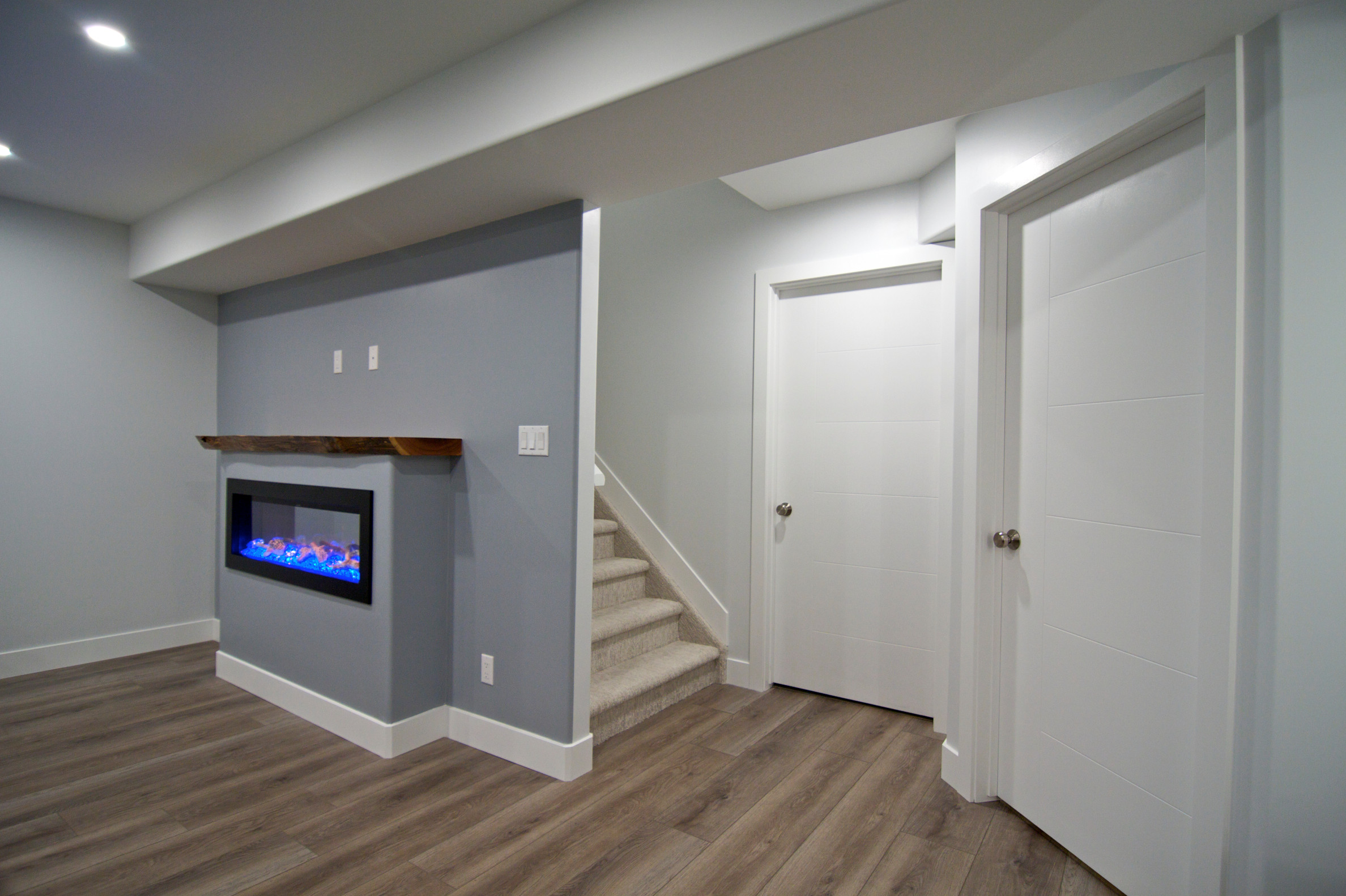 Basement Renovation