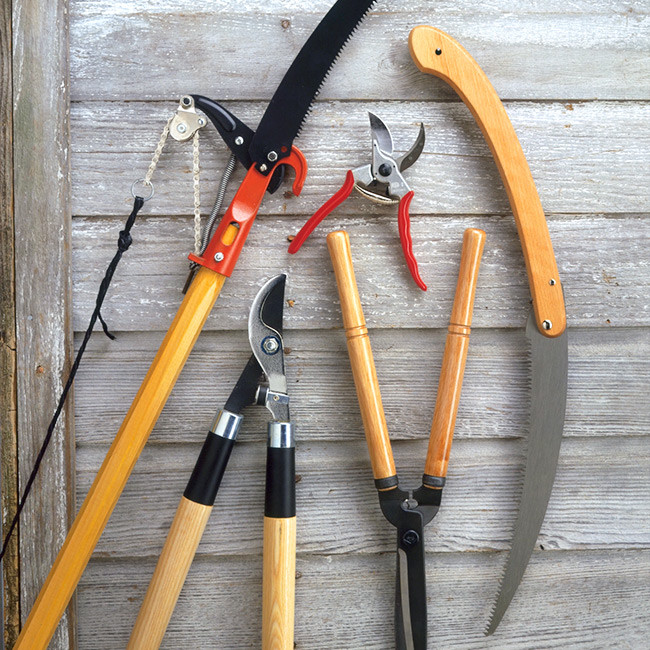 ORNAMENTAL PRUNING EQUIPMENT OF PETER ATKINS AND ASSOCATES.,LLC