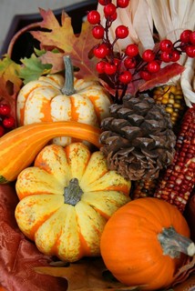 Thanksgiving Fall Harvest - Peel and Stick Removable Graphic ...