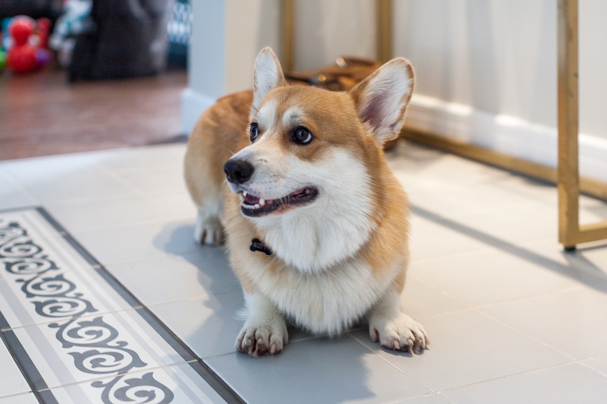 Классический интерьер с элементами арт-деко