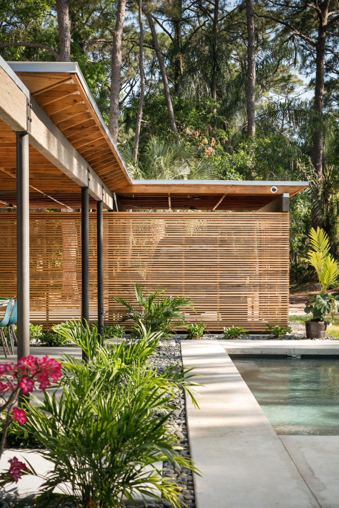 Inspiration for an expansive contemporary backyard full sun xeriscape for summer in Tampa with with path, river rock and a wood fence.