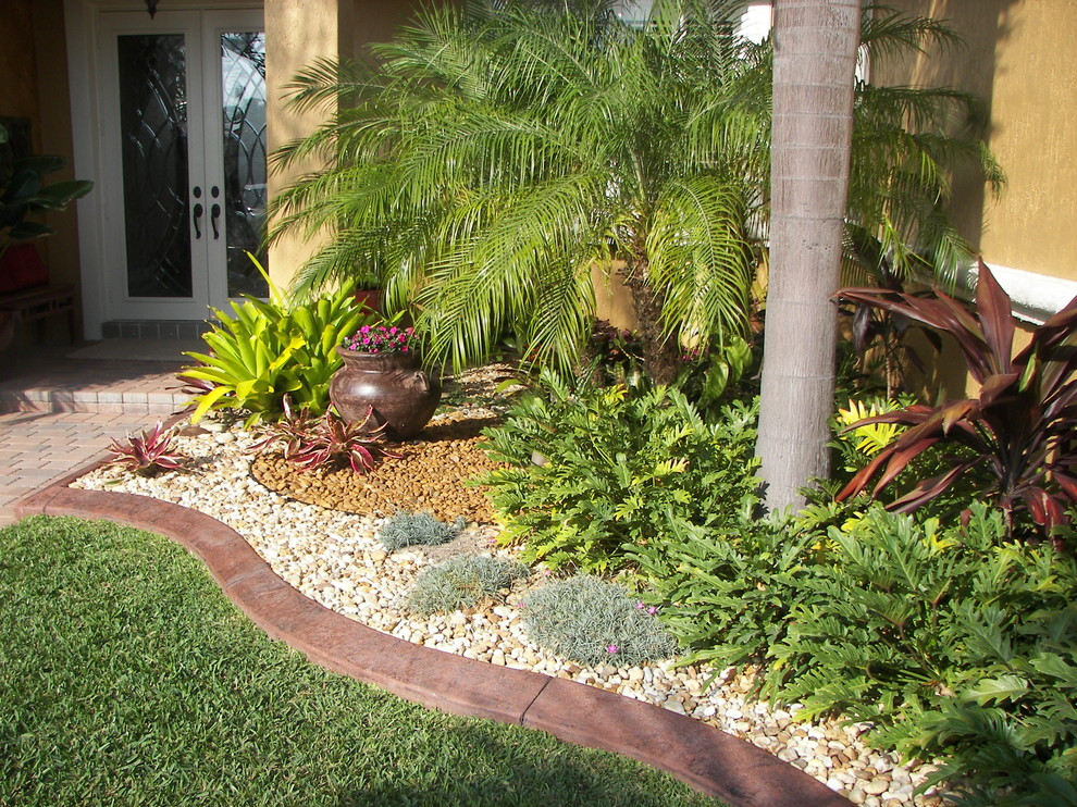 Tropical garden in Miami with with lawn edging.