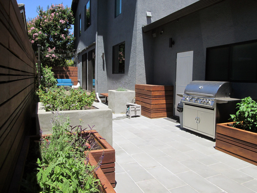This is an example of a contemporary backyard full sun garden for summer in San Francisco.