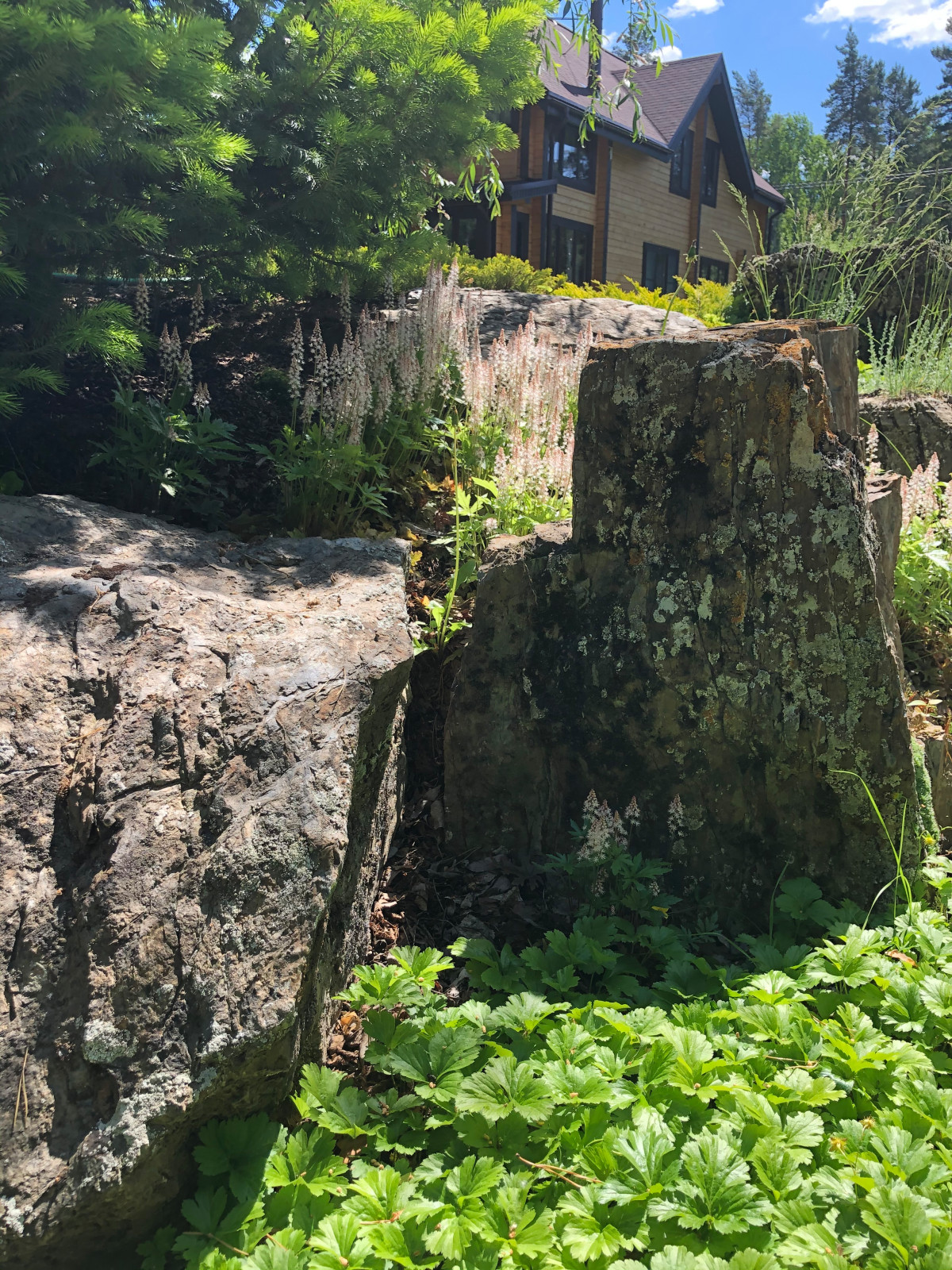 Усадьба на краю леса