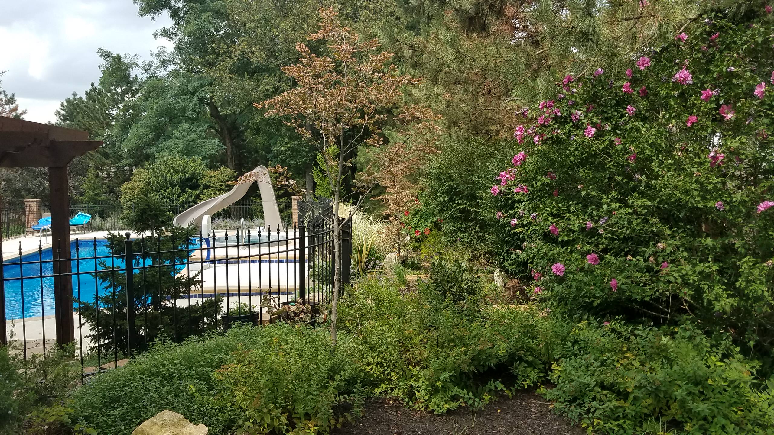 Kansas City backyard AFTER