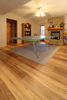 Coretec Virtue Oak Luxury Vinyl Plank - Traditional - Basement - Other