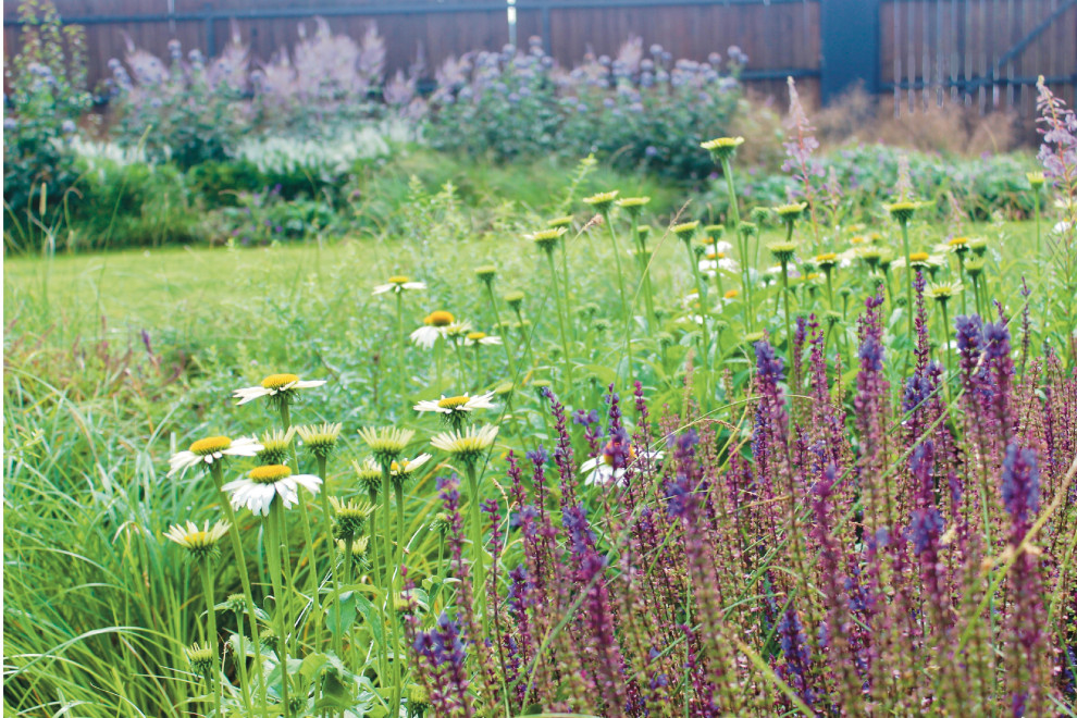 д. Кутузово