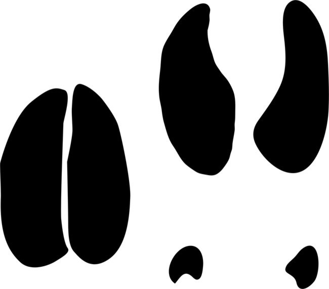 deer-animal-tracks-stencil-rustic-wall-stencils-by-stencil-ease