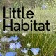 Little Habitat