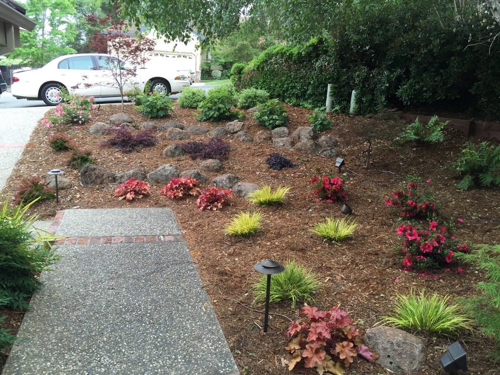 This is an example of a small contemporary front yard full sun xeriscape in Sacramento with a garden path and gravel.
