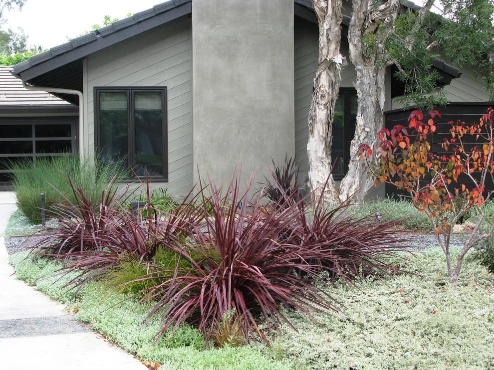 This is an example of a contemporary front yard garden for fall in San Diego.