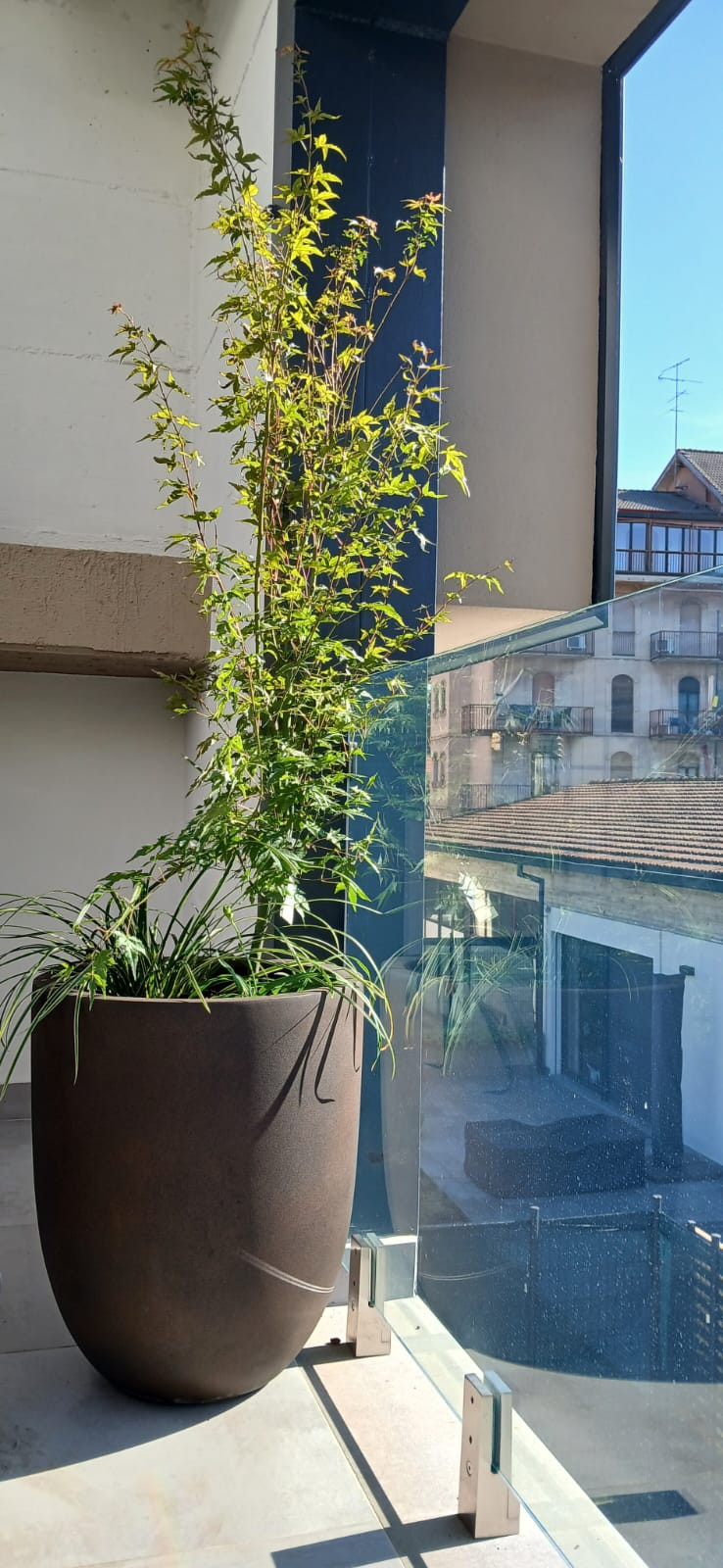 Realizzazione Wild in the city