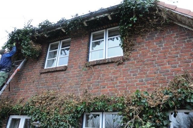 Moderner Garten in Sonstige