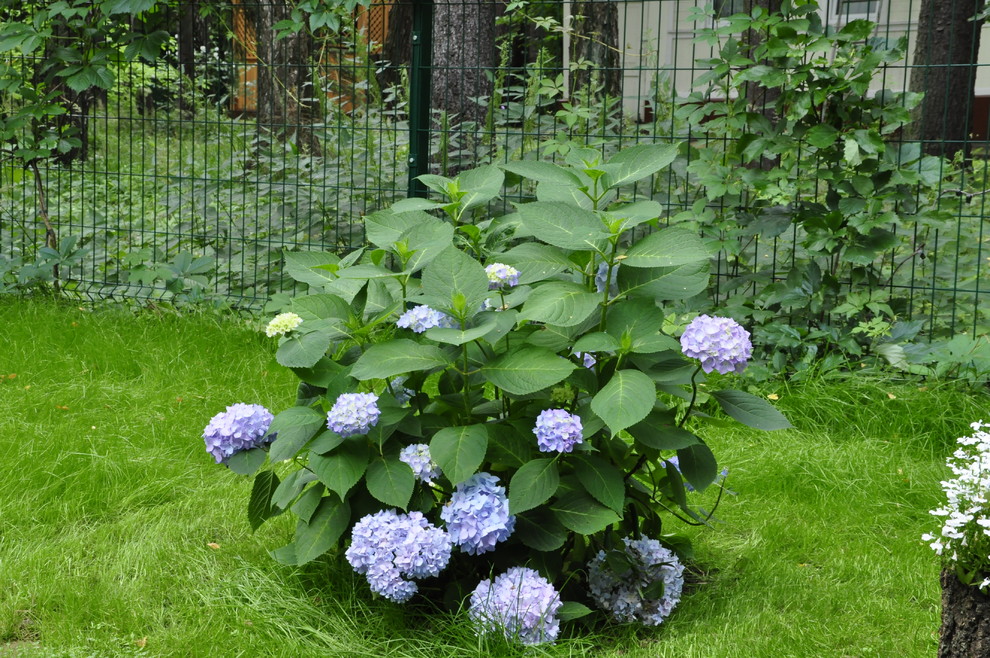 кп "Успенские дачи" - Уход за садом - 100% качество!