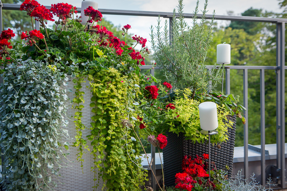 "Немного солнца в стакане воды" (Дизайнер Наталия Прохорова-Азбукина)