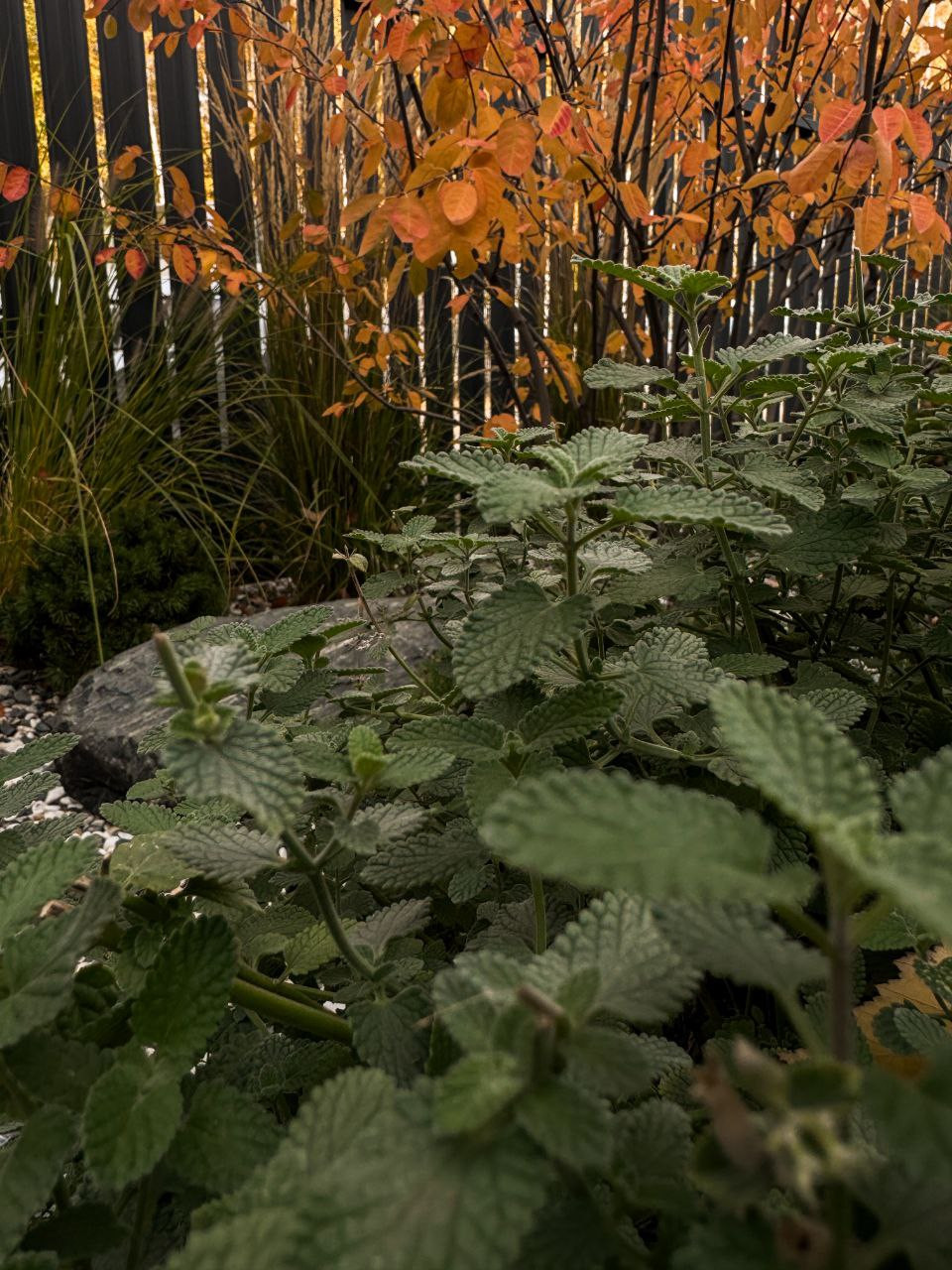 Реализованный проект КП Панорама