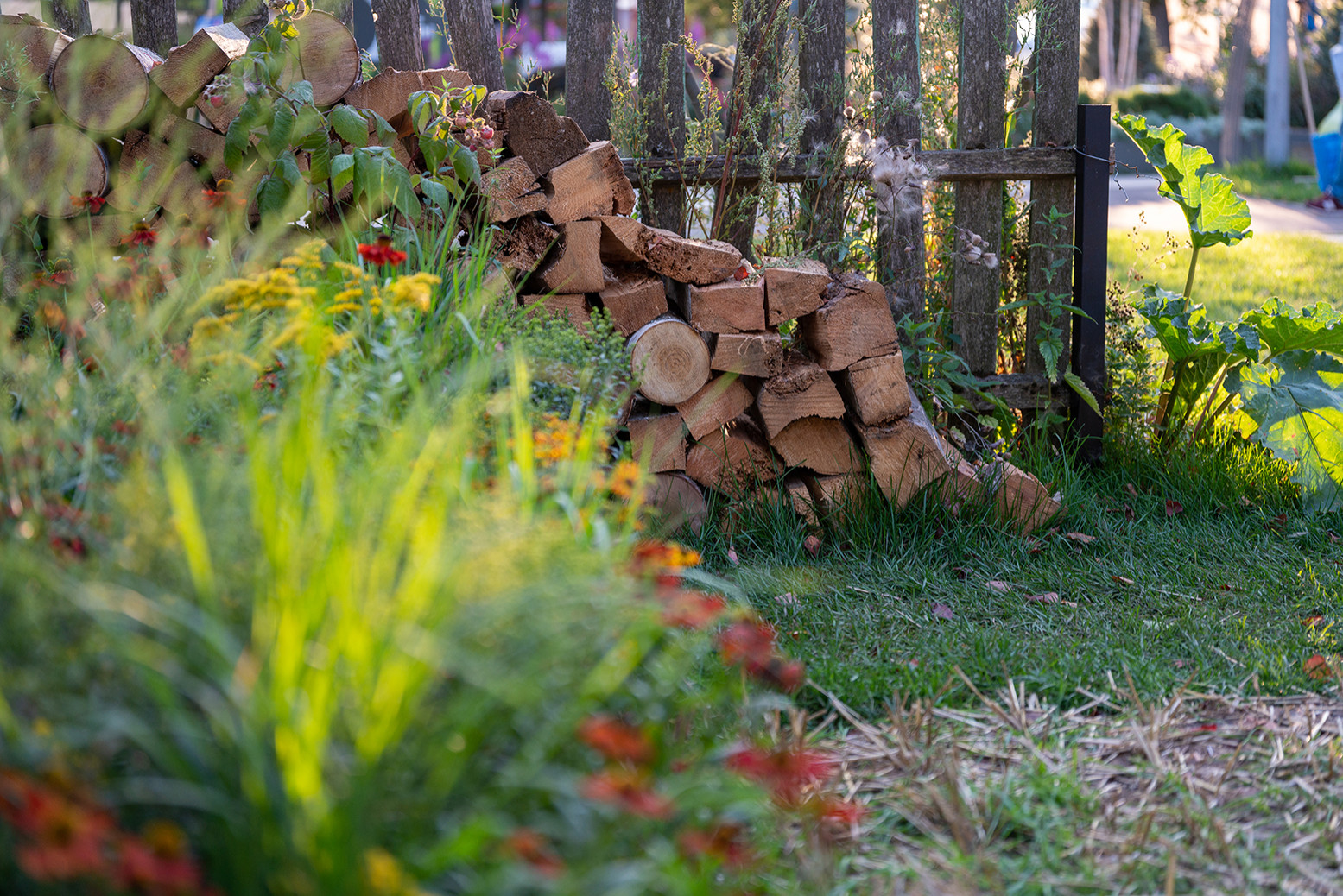 Фотосъемка  "САДЫ и  ЛЮДИ2019"   -  Сад Наследие . ГРАН-ПРИ