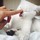 tanya_kiryan