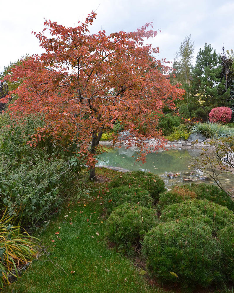 Ландшафтный сад с прудом в КП "Европа"