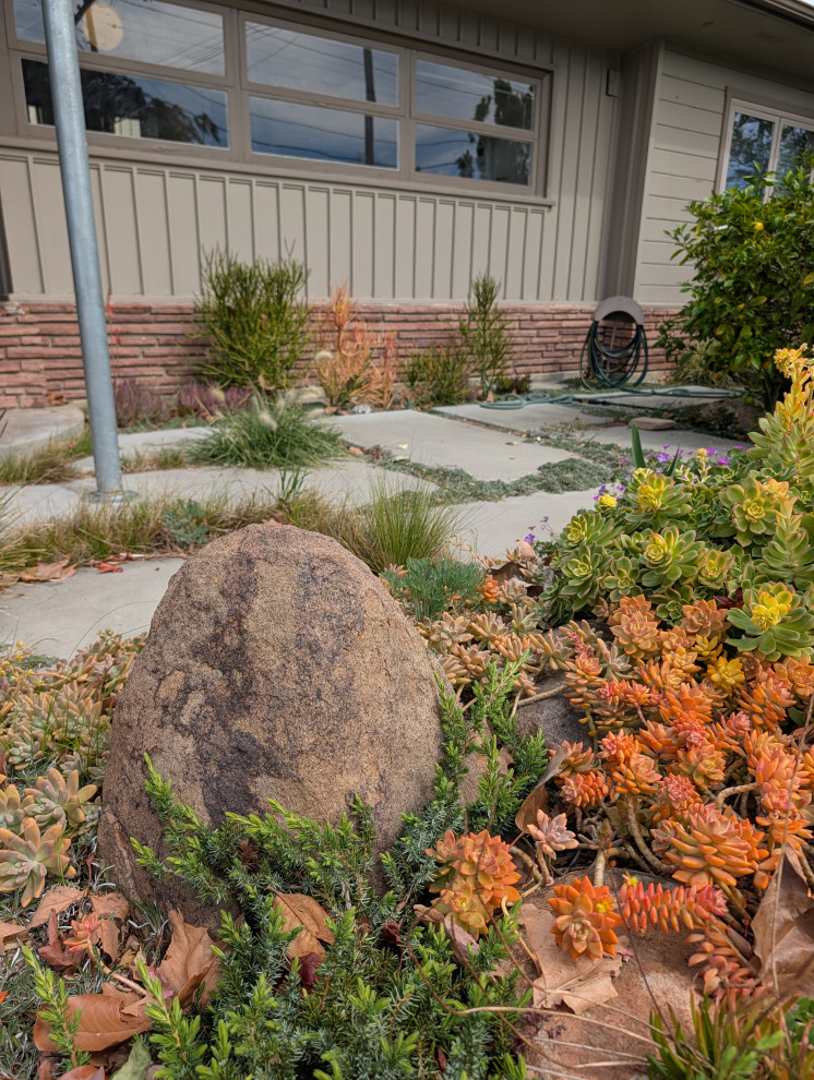 An Artist's Garden
