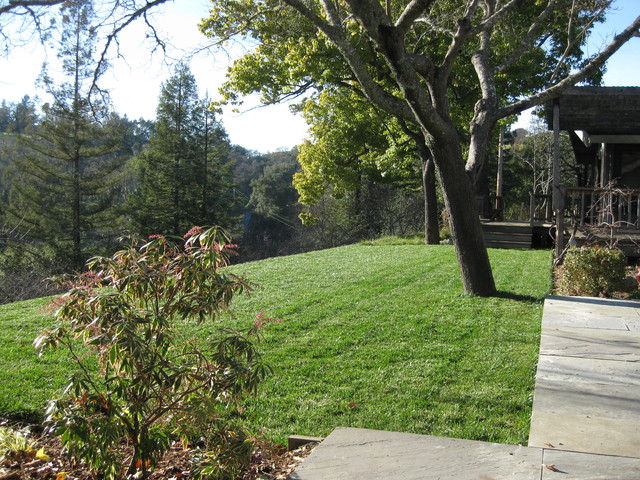 orchard contemporary-garden