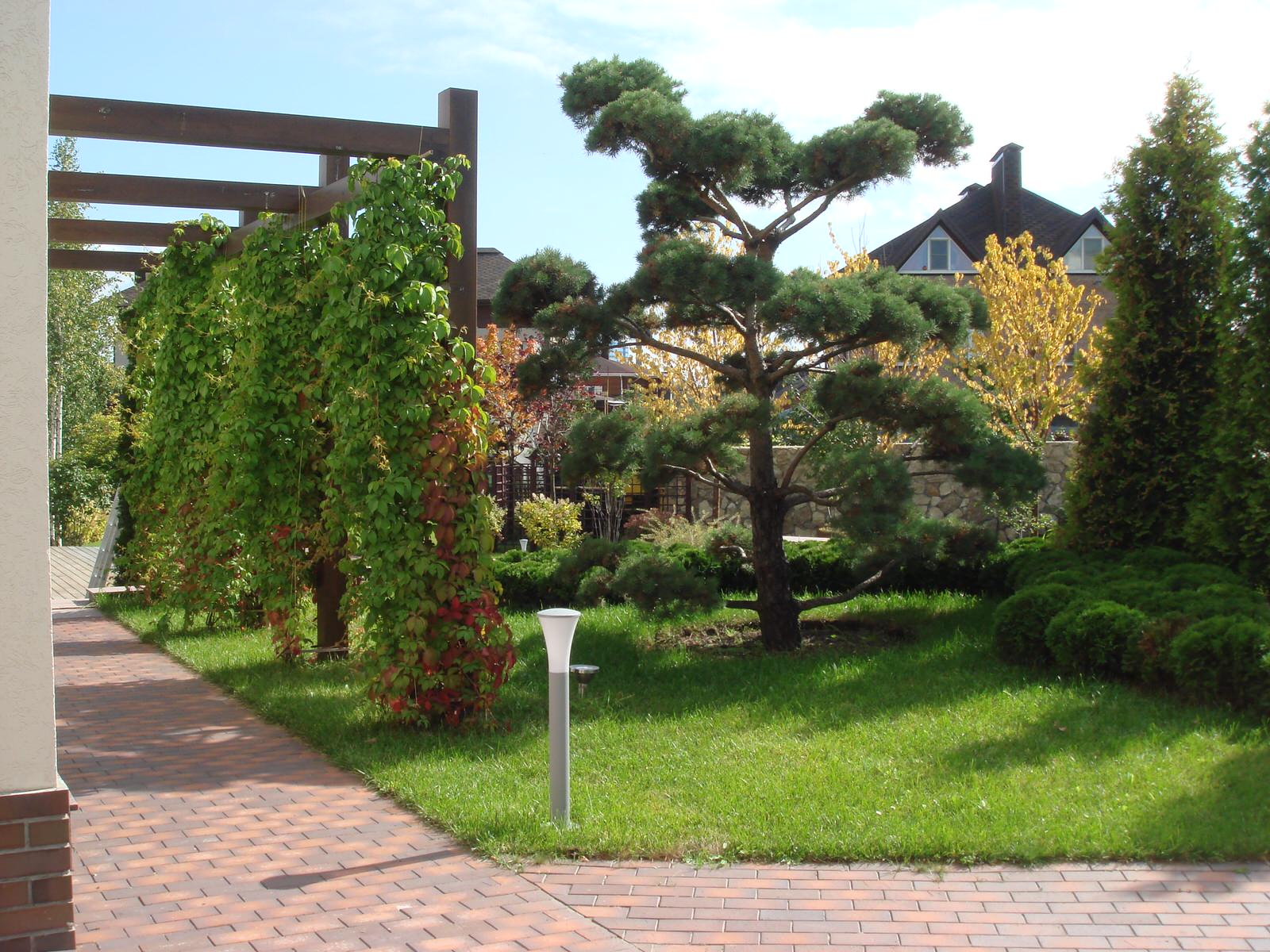 Сад "Динамика движения"