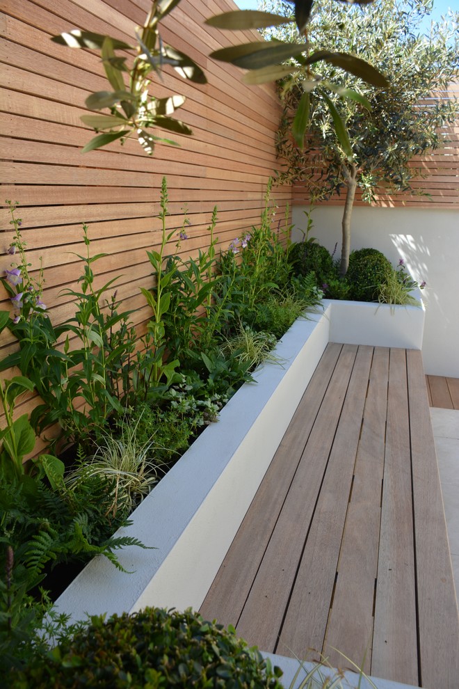 This is an example of a small contemporary back full sun garden in London.
