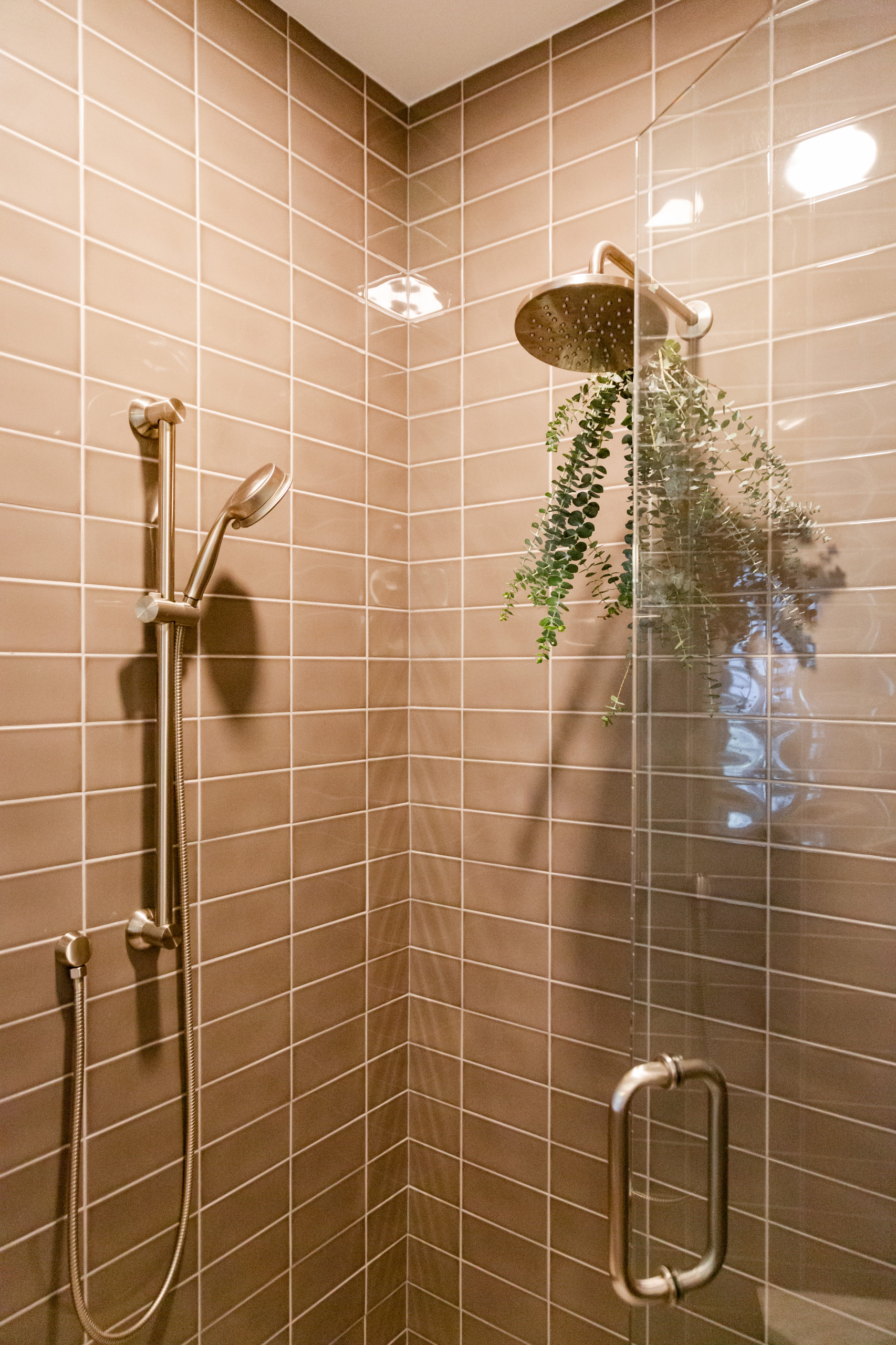 Shower Plumbing
