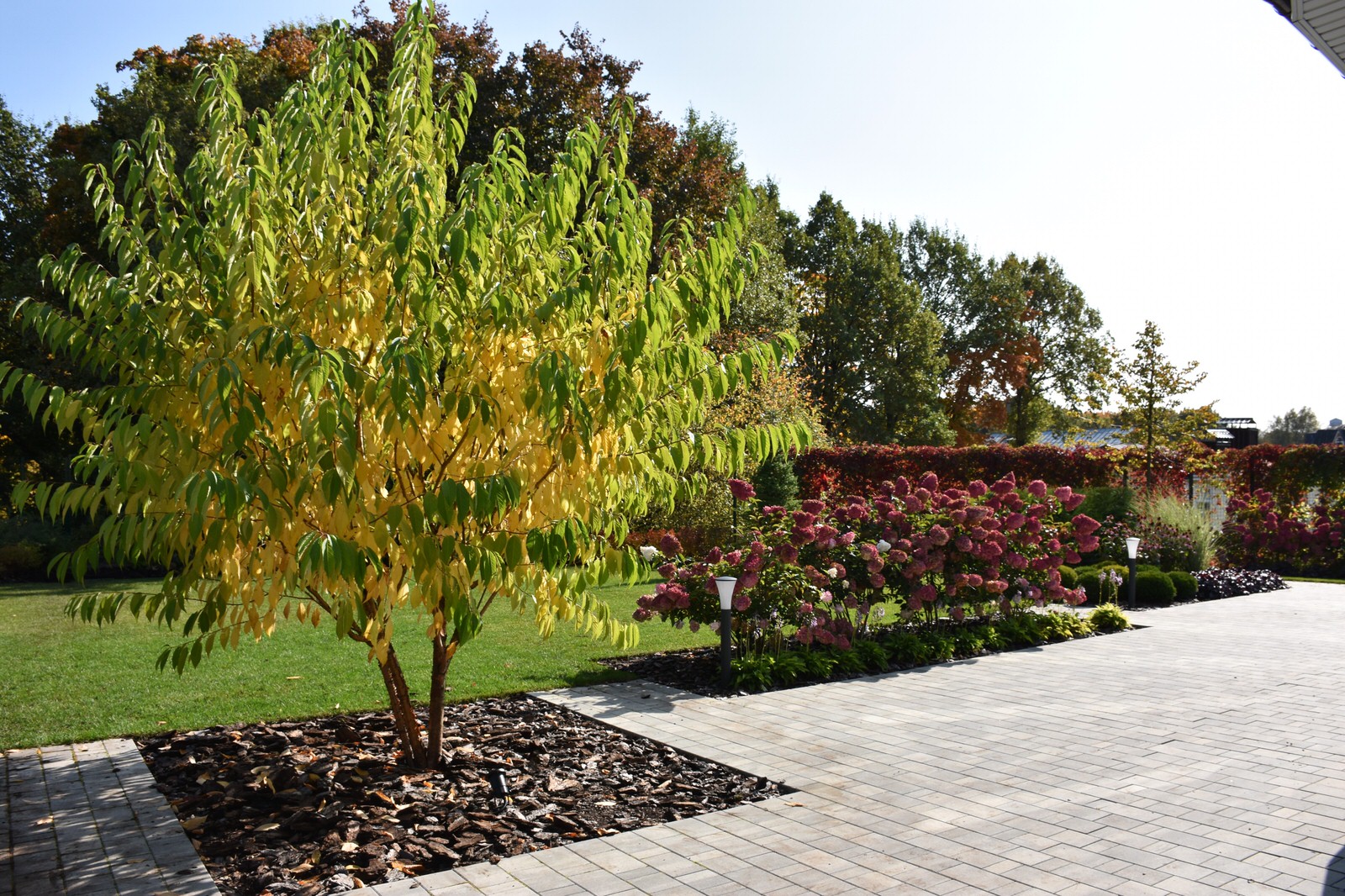 Игра в геометрию