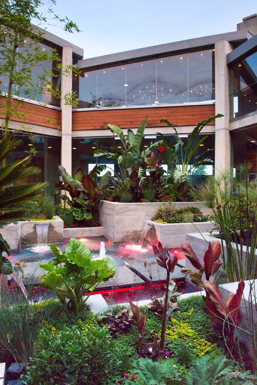 Tropical Modern Landscape
