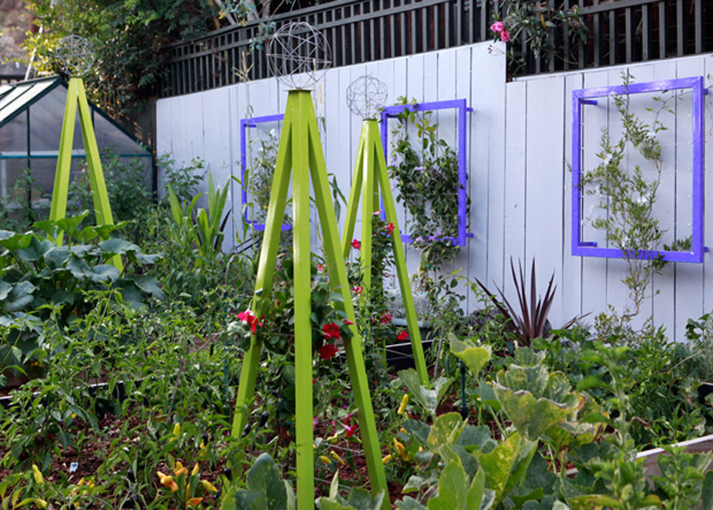 This is an example of a modern landscaping in Los Angeles.